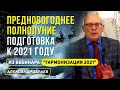 ПОЛНОЛУНИЕ 30 ДЕКАБРЯ 2020, ПОДГОТОВКА К 2021. ИЗ ВЕБИНАРА "ГАРМОНИЗАЦИЯ 2021" l АЛЕКСАНДР ЗАРАЕВ