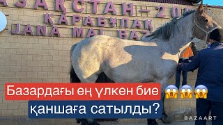 Қарабұлақ мал базары. Жылқы бие байтал .3 мая 2023 г.