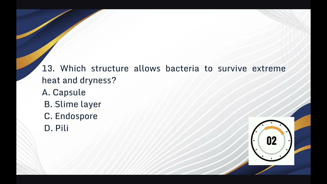 Bacterial Cell Structure Review Questions with Rationales | Gram+ vs Gram− | Microbiology MCQs