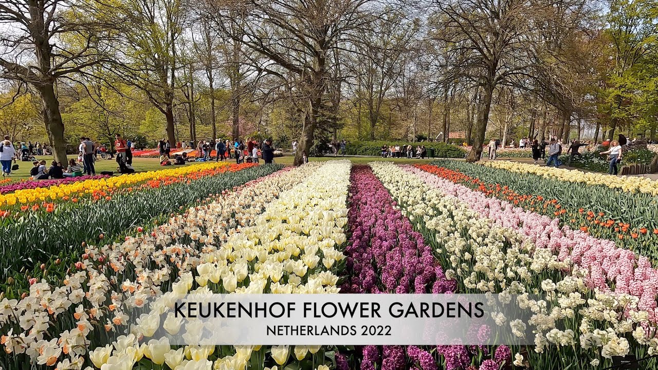 The World's Biggest Flower Garden Keukenhof Gardens Netherlands YouTube
