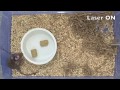 Suppressing AgRP neurons abrogates hunger