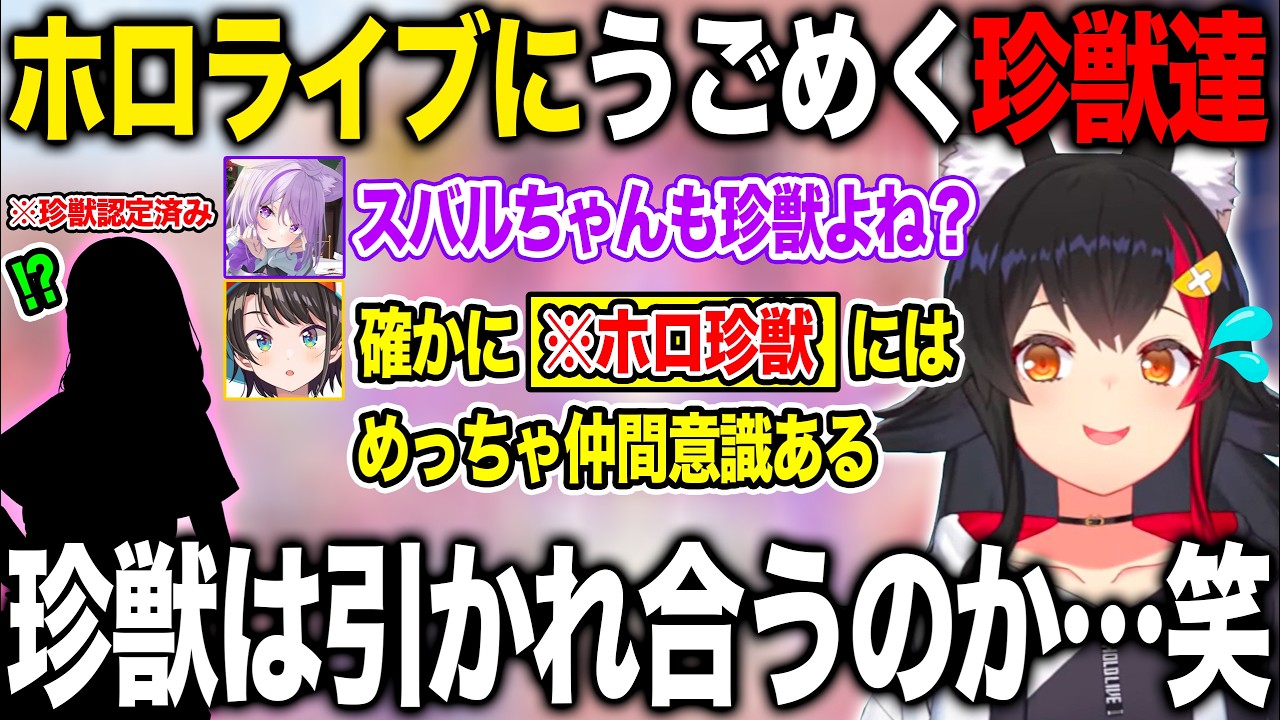 珍獣ハンターとして今のホロライブの珍獣の生態と新人の新たな珍獣に期待する大神ミオ【ホロライブ/ホロライブ切り抜き】