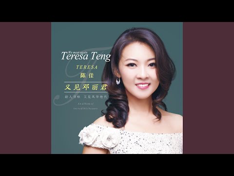 恰似你的温柔