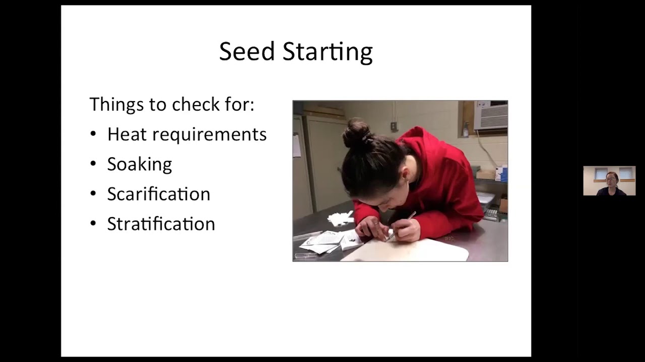 Medicinal herbs research