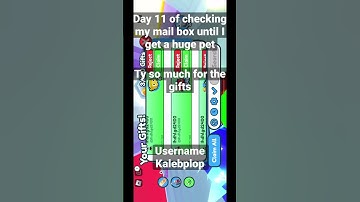 Day 11 of checking my mail box until I get a huge pet #petsimx #subscribe #gift #shorts
