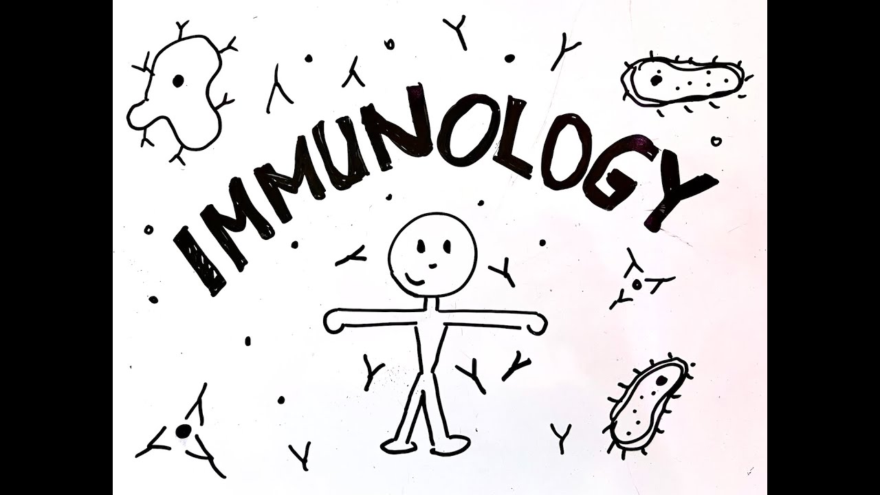 Immunology 101 - An Introduction to Immunology - YouTube
