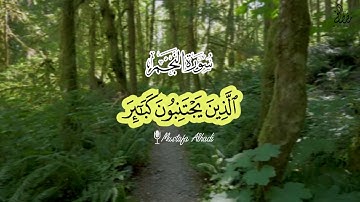 ارح سمعك | تلاوة آيات من سورة النجم | القارئ مصطفى الهادي