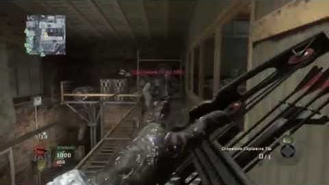 Call of Duty Black Ops Montage: Eyes of Vindication X - The Great Reach II