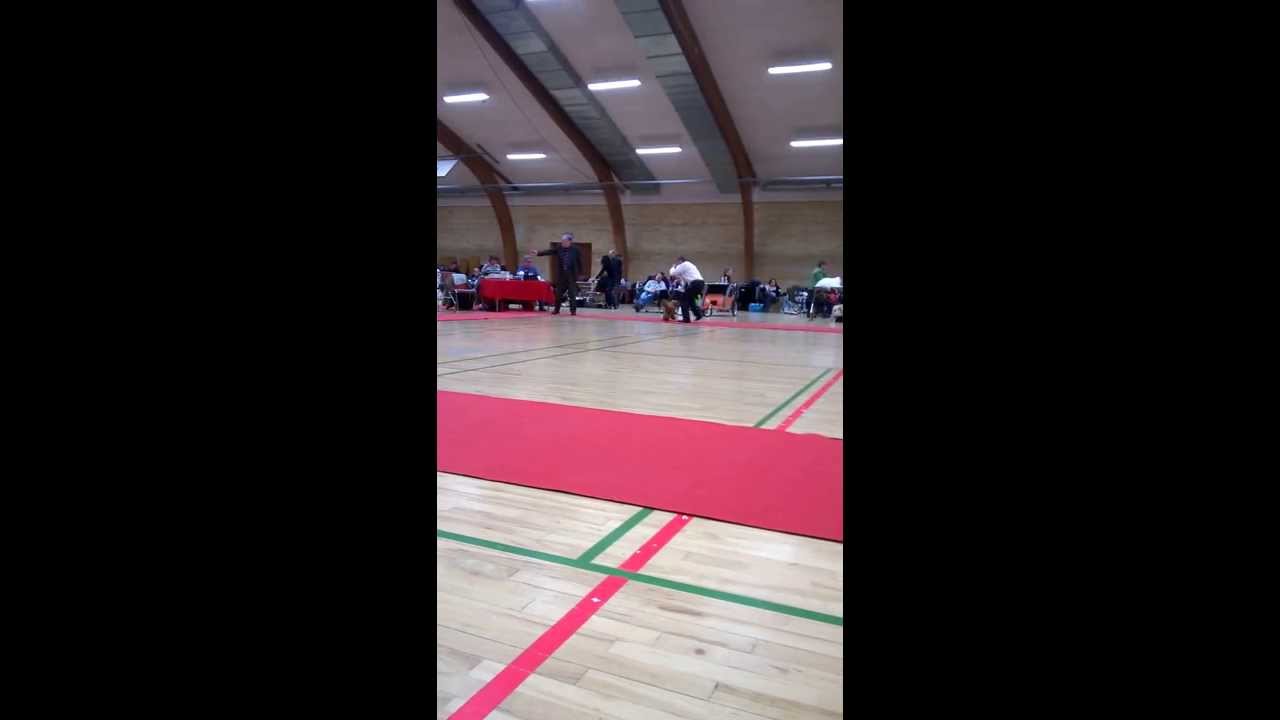 Lefariis Golden Vince and Søren Falk in Nykøbing Mors 2014.