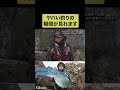鵜来島の尾長グレを獲る瞬間#shorts