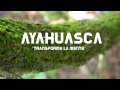 Ayahuascaicaros transforma tu mente