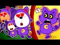 Catnap Gets a A Fanclub! | Funny Cartoons for Kids | Cartoon Animation