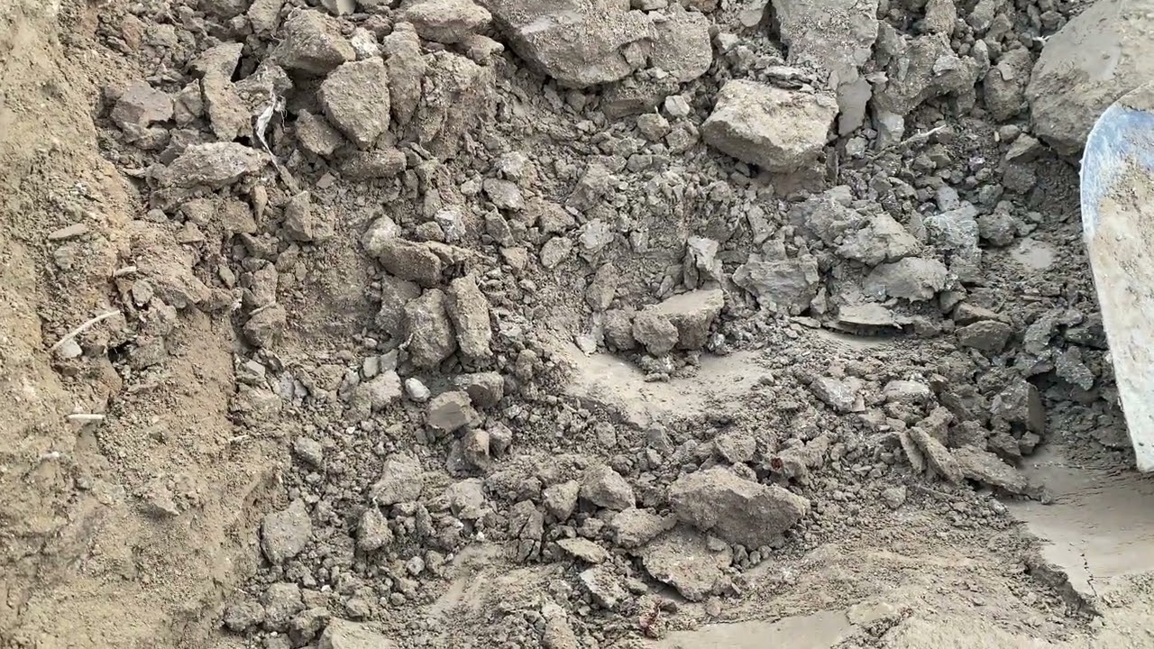 الطبقة الصمّاء: السبب الخفي لضعف وموت أشجار البساتين والحدائق