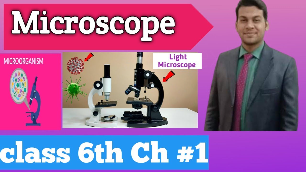 Microscope in Urdu and Hindi | Class 6th PTB A light Microscope