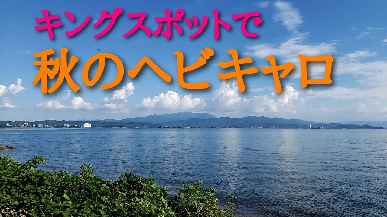 バス釣り】琵琶湖 北湖 キングスポットで秋のヘビキャロ - YouTube