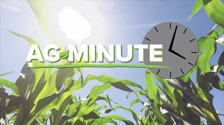 Ag Minute #981 Can farmers raise bigger crops on less fertilizer? (Air Date 12-8-19)