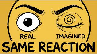 Your Brain Can't Tell What's Real (And It's Changing You)
