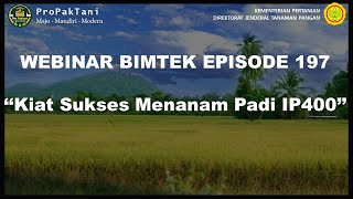 Kiat Sukses Menanam Padi IP400