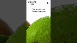 611. Don't Wait! Unveiling the Science Behind Avocado Ripening!