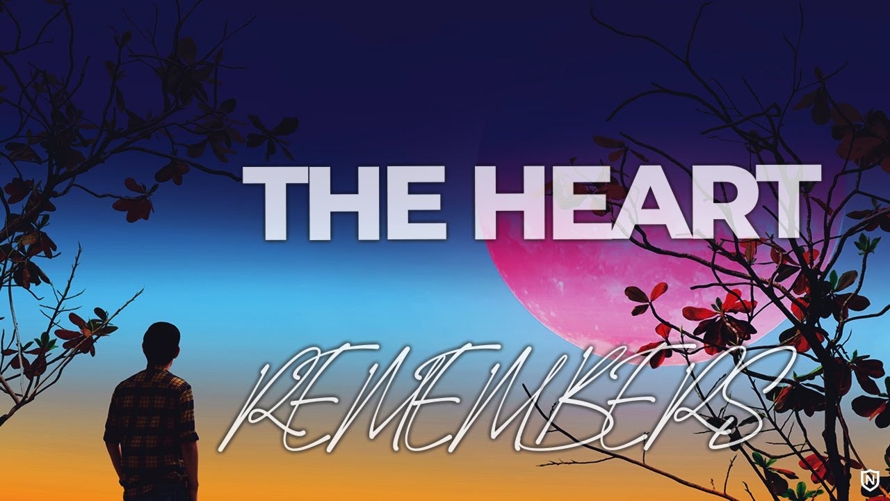 THE HEART REMEMBERS | 4 Hours of Violin Healing Field