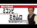 ミコンビ(テルミサルタン/ヒドロクロロチアジド)vsミカムロ(テルミサルタン/アムロジピン)