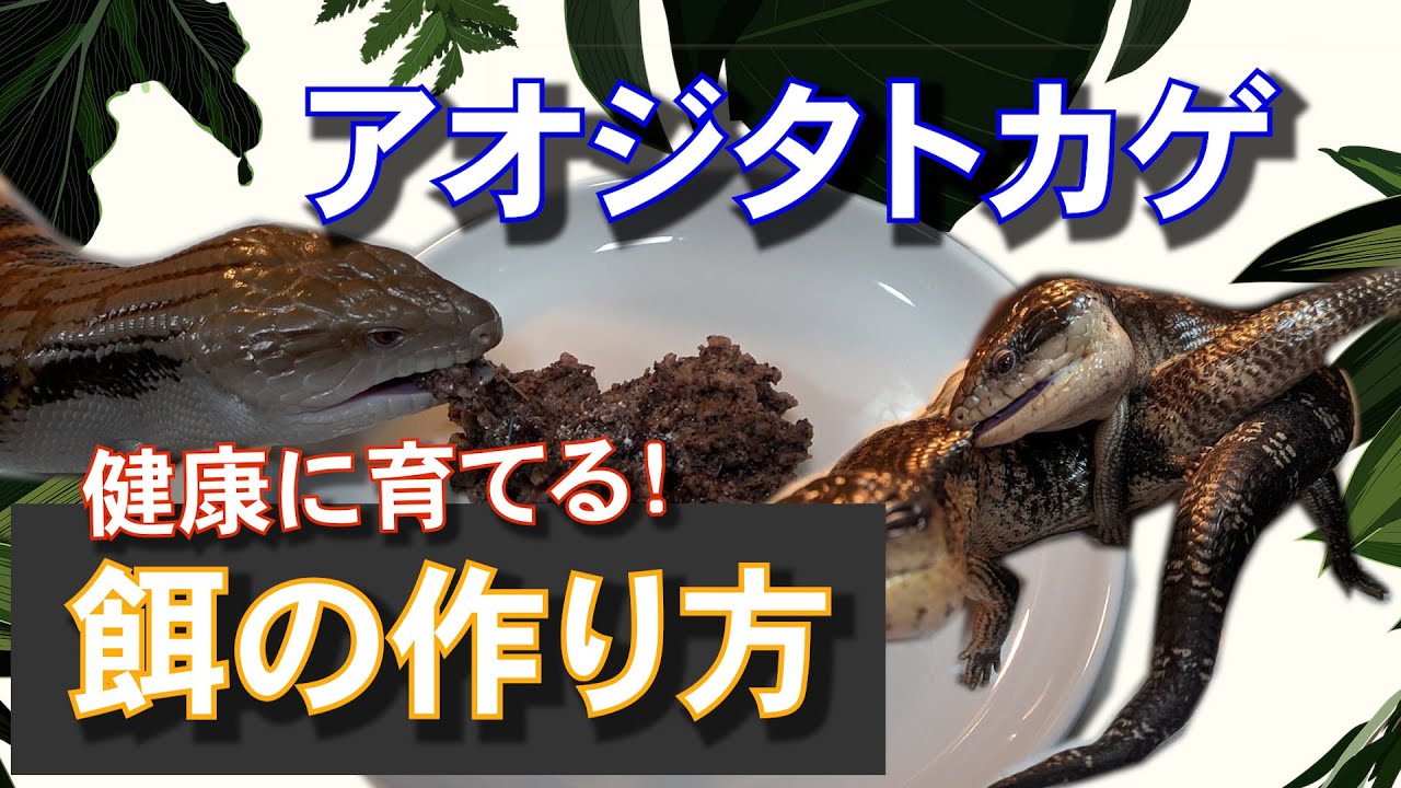 いろいろなエサの作り方シリーズ | 爬虫類倶楽部