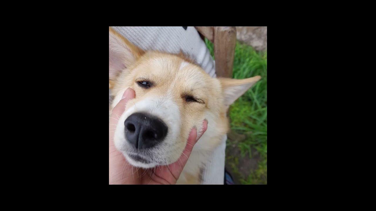Мы на даче💗 - YouTube