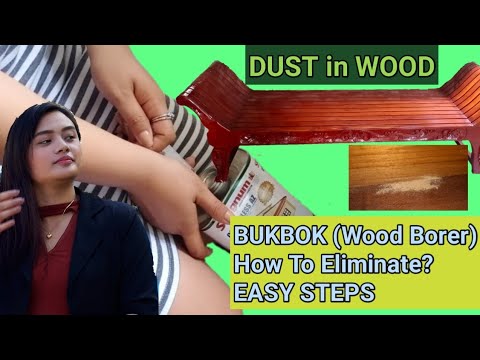 Bukbok sa Kahoy || How to Get Rid of Wood Borers (Easy Steps)