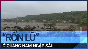 Vùng “rốn lũ” Đại Lộc, Quảng Nam: Nhiều nơi bị ngập sâu trong nước | VTC Tin mới