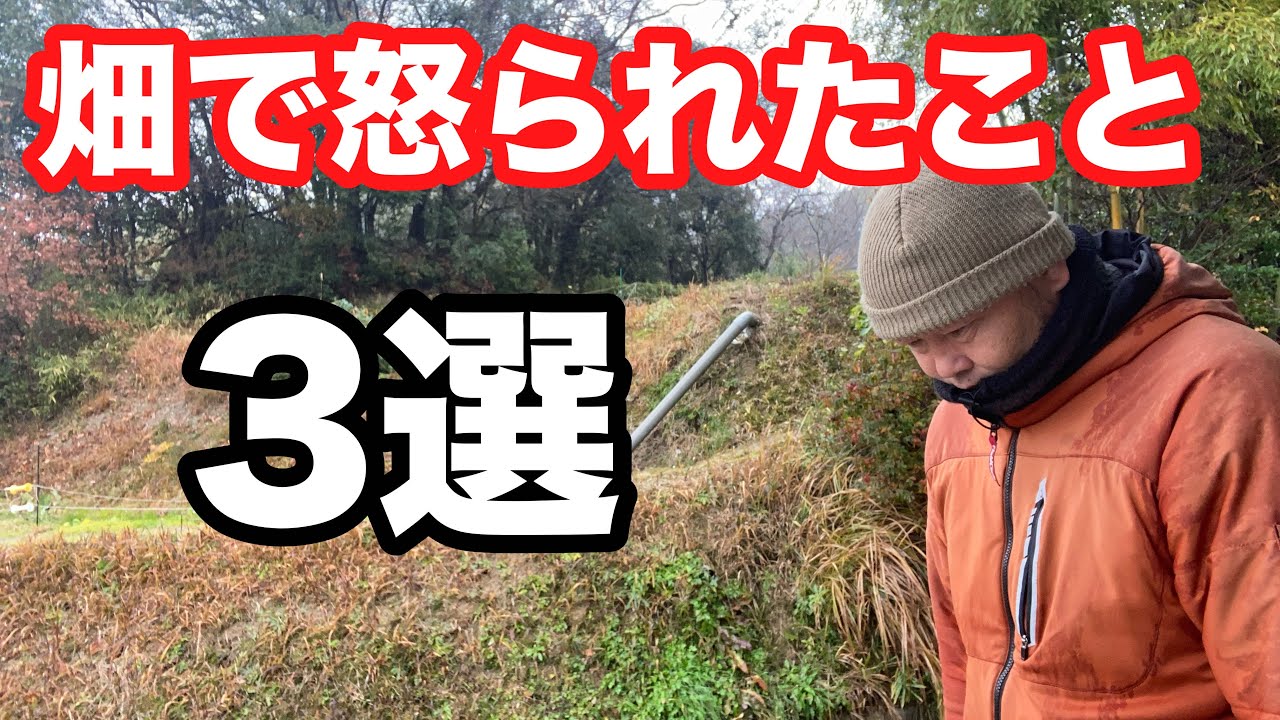 【畑で怒られたこと3選】知っておきたい農村ルール