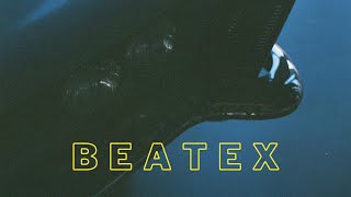 Beatex (Audio)