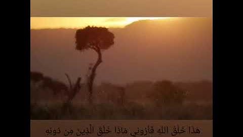 سورة لقمان اية ١١