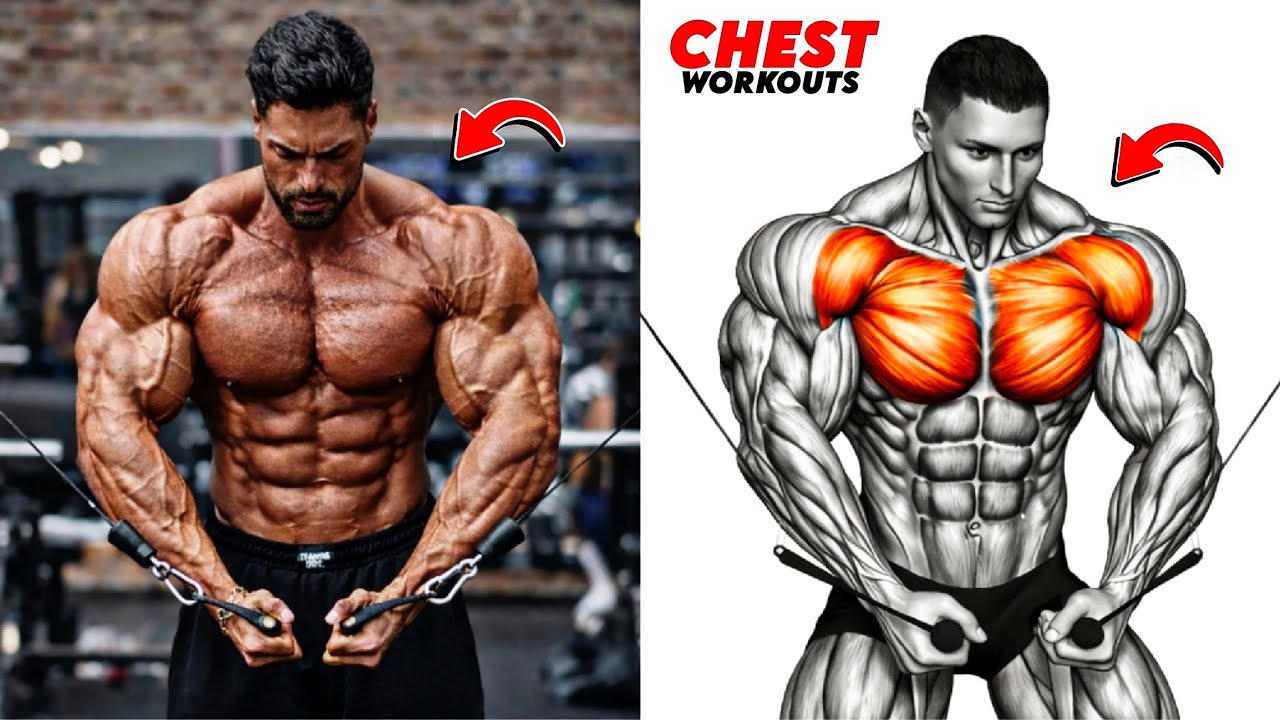 8 Insane Chest Exercises That Will Build a Bigger, Thicker Chest Fast 🔥 ...