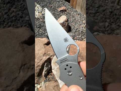 Maxamet Monday with the Paramilitary 2