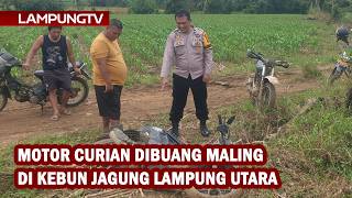 Download Lagu Motor Curian Dibuang Maling di Kebun Jagung Lampung Utara MP3