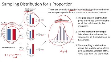 6 1 Sampling Distributions
