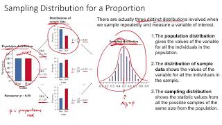 6 1 Sampling Distributions