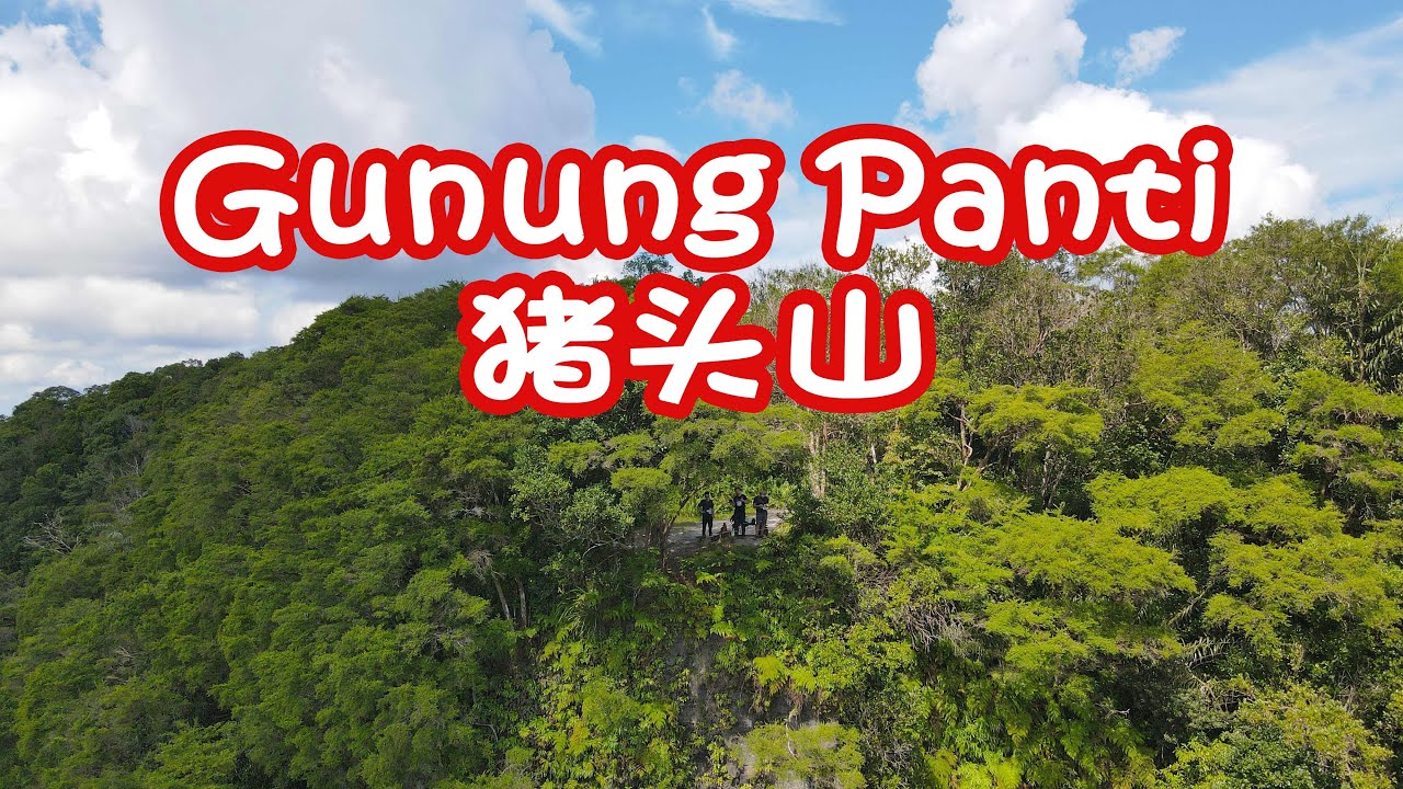 Gunung Panti - Let us guide you there: Gunung Panti, Malaysia 🇲🇾 😉 让我们带您去马来西亚-猪头山 😉