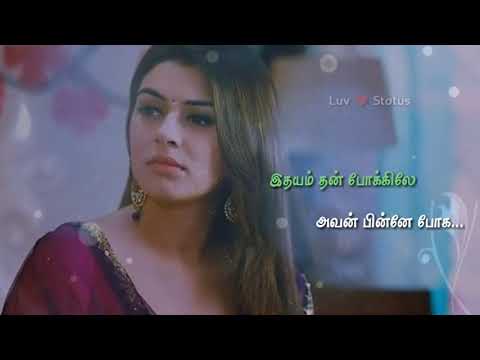 Romeo And Juliet Feeling Song