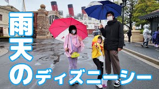 2022春休み家族でお出掛け♪雨のディズニーシーを楽しむ♡himawariCH