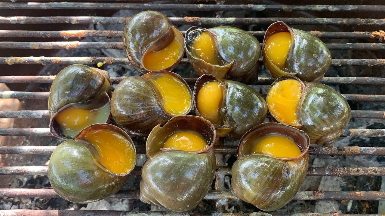 Cooking and Eating Snail With Spicy Chilli Sauce .Put Egg in Snail Shell So Yummy.