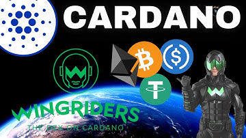 Cardano ADA WingRiders Interview: Exciting DEX On Cardano That
