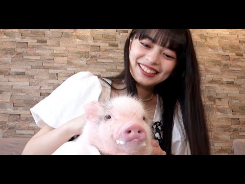 最新ニュース -  上國料萌衣、動物カフェをリポート「連れて帰ろうかな(笑)」とメロメロに