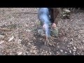 550 FireCord test. Part 1 - lighting a fire in good conditions.