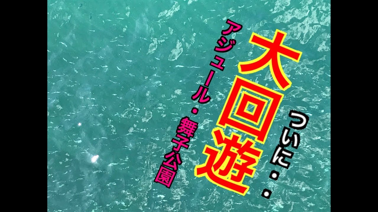 イワシ 待ちに待った回遊が Fishingmax垂水店19 09 25 Youtube イワシ 待ちに待った回遊が Fishingmax垂水店19 09 25 Youtube