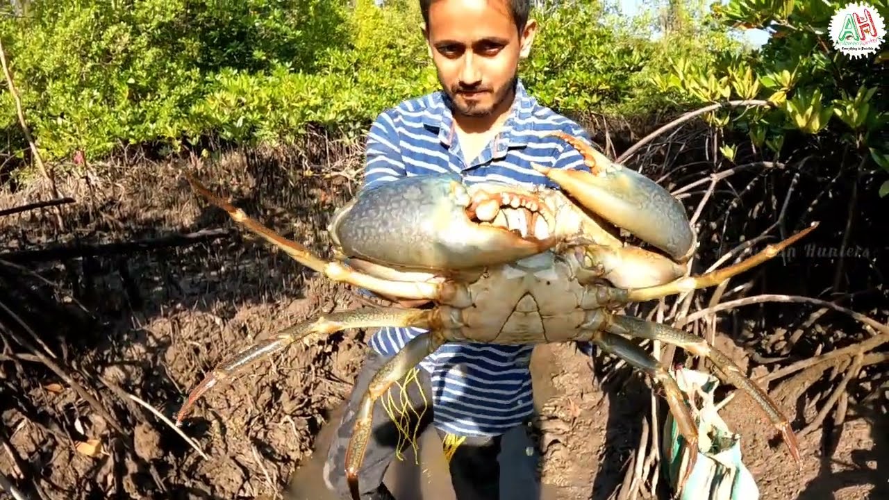 Amazing Catch Giant Mud Crab at Corals Sea Side || Andaman Hunters