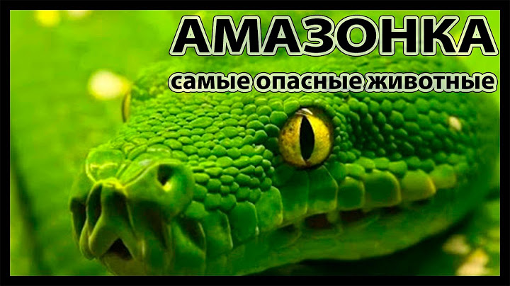 Самые опасные животные Амазонии