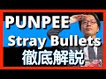 【日本ヒップホップ解説】PUNPEE - Stray Bullets【超名作】【HipHop】【2017】【リリック】【日本】【PSG】【リスペクト】