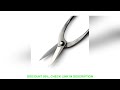 professional grade 200 mm top pruning scissors 4Cr13MoV Alloy Steel bonsai tools from TianBonsai