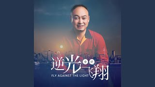 逆光飞翔